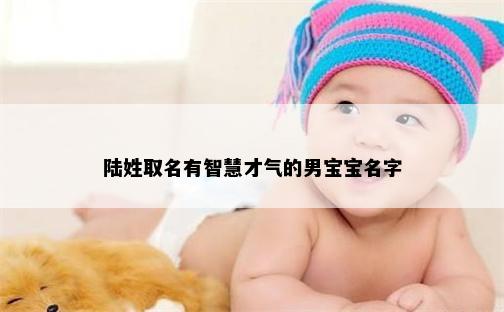 陆姓取名有智慧才气的男宝宝名字
